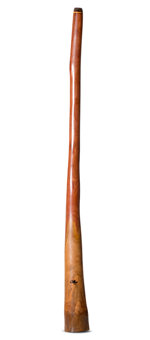 Tristan O'Meara Didgeridoo (TM425)